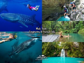 Whale Shark + Kawasan Canyoneering Day Tour