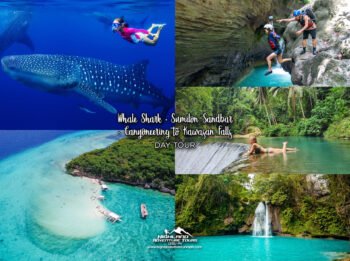 Whale Shark + Sumilon Sandbar + Kawasan Canyoneering Day Tour