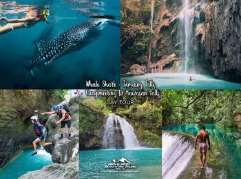 Whale Shark + Tumalog Falls + Kawasan Canyoneering Day Tour